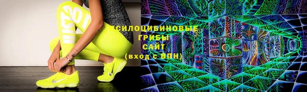 2c-b Богородицк